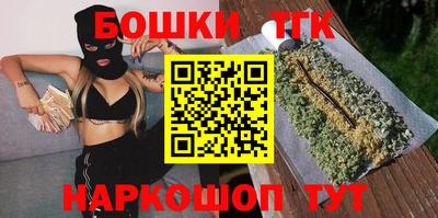 бошки Кингисепп