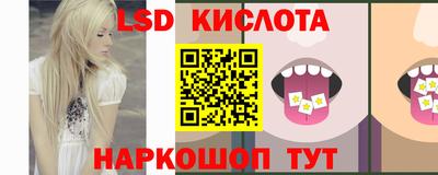 бошки Кингисепп