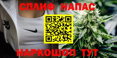 бошки Кингисепп