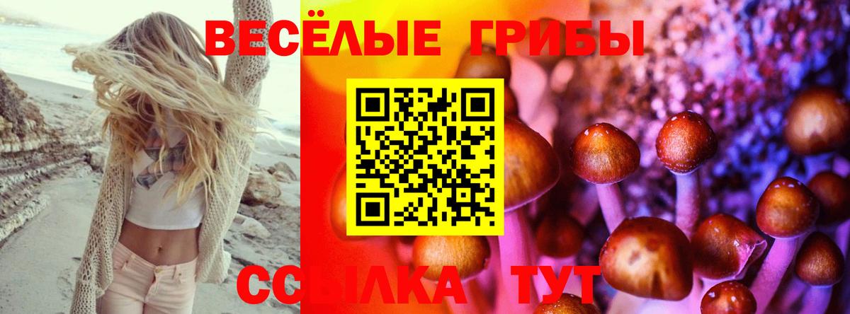 Галлюциногенные грибы мицелий  цена   Шатура  Галлюциногенные грибы прущие грибы 