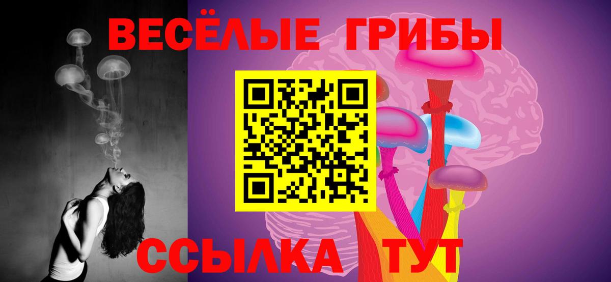 Галлюциногенные грибы Cubensis Шатура