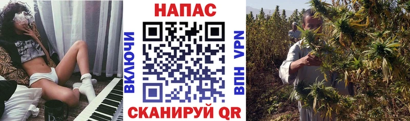 Шишки марихуана индика  Шатура 