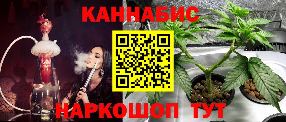 Шишки марихуана семена Шатура